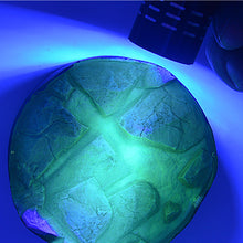 Load image into Gallery viewer, AK8290 - Transparent UV Resin Water 30ml