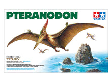 Load image into Gallery viewer, Pteranodon 1:35