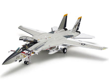 Load image into Gallery viewer, Grumman F-14A Tomcat 1:48