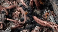 Load image into Gallery viewer, Alien Void 6mm