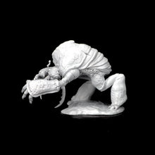Load image into Gallery viewer, D&D Nolzur's Marvelous Miniatures: Umber Hulk