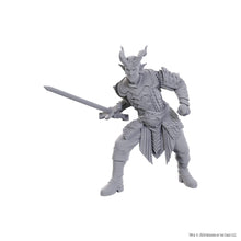 Load image into Gallery viewer, D&D Nolzur's Marvelous Miniatures: Special Edition Baldur's Gate 3 — Ulder Ravengard & Zevlor