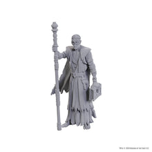 Load image into Gallery viewer, D&D Nolzur's Marvelous Miniatures: Special Edition Baldur's Gate 3 — Volo & Withers