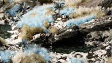 Load image into Gallery viewer, Alien Frost 6mm