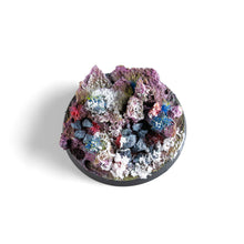 Load image into Gallery viewer, AK11263 - Frost Effect