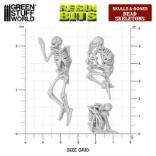 Load image into Gallery viewer, Resin Bits - Skulls and Bones, Dead Skeletons 1:35 scale