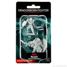 Load image into Gallery viewer, D&D Nolzur's Marvelous Miniatures: Dragonborn Fighter Male