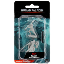 Load image into Gallery viewer, D&D Nolzur's Marvelous Miniatures - Female Human Paladin