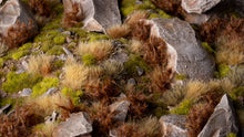 Load image into Gallery viewer, Spikey Brown - Wild