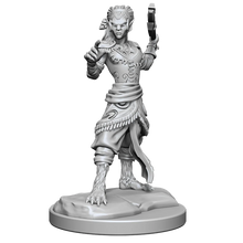 Load image into Gallery viewer, D&D Nolzur's Marvelous Miniatures: Shifter Fighter