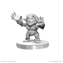Load image into Gallery viewer, D&D Nolzur's Marvelous Miniatures: Yeti Tykes