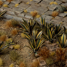 Load image into Gallery viewer, Laser Plants - Agave