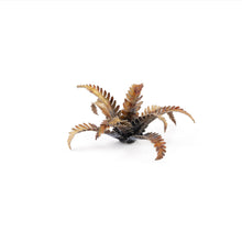 Load image into Gallery viewer, Laser Plants - Alien Fern