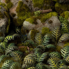 Load image into Gallery viewer, Laser Plants - Bracken