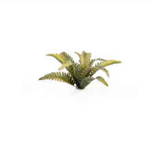 Load image into Gallery viewer, Laser Plants - Deer Fern