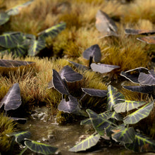 Load image into Gallery viewer, Laser Plants - Black Magic Taro