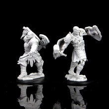 Load image into Gallery viewer, D&amp;D Nolzur's Marvelous Miniatures - Male Goliath Fighter
