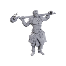 Load image into Gallery viewer, D&amp;D Nolzur's Marvelous Miniatures: Archdruid &amp; Martial Arts Adept
