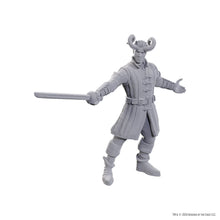 Load image into Gallery viewer, D&amp;D Nolzur's Marvelous Miniatures: Special Edition Baldur's Gate 3 — Wyll &amp; Karlach
