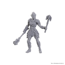 Load image into Gallery viewer, D&amp;D Nolzur's Marvelous Miniatures: Special Edition Baldur's Gate 3 — Dame Aylin &amp; Minthara
