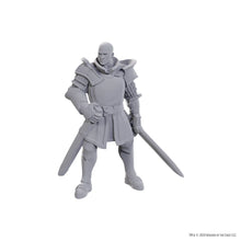 Load image into Gallery viewer, D&amp;D Nolzur's Marvelous Miniatures: Special Edition Baldur's Gate 3 — Ulder Ravengard &amp; Zevlor
