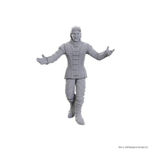 Load image into Gallery viewer, D&amp;D Nolzur's Marvelous Miniatures: Special Edition Baldur's Gate 3 — Sarevok Anchev &amp; Raphael
