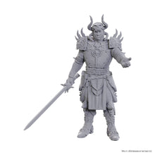 Load image into Gallery viewer, D&amp;D Nolzur's Marvelous Miniatures: Special Edition Baldur's Gate 3 — Sarevok Anchev &amp; Raphael

