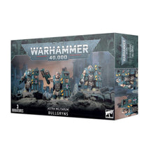 Load image into Gallery viewer, ASTRA MILITARUM: Bullgryns
