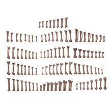 Load image into Gallery viewer, Human Bones - AK Basing Bits
