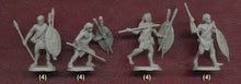 Load image into Gallery viewer, Native Natal Contingent 1:72 scale
