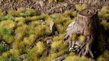 Load image into Gallery viewer, Green Meadow Set - Wild
