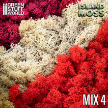 Load image into Gallery viewer, Island Moss - Mix 4 (Red,Fuchsia,Grey)
