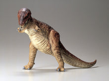 Load image into Gallery viewer, Tyrannosaurus Rex 1:35
