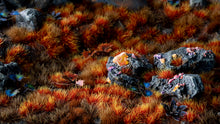 Load image into Gallery viewer, Alien Fire Tuft 6mm - Wild
