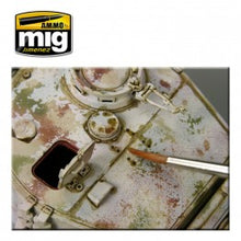 Load image into Gallery viewer, Brown WASH for German Dark Yellow

