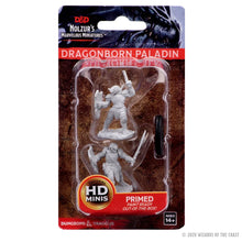 Load image into Gallery viewer, D&amp;D Nolzur's Marvelous Miniatures: Dragonborn Female Paladin
