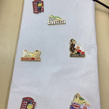 Load image into Gallery viewer, Pins
