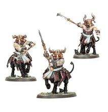 Load image into Gallery viewer, AOS - Helsmiths of Hashut - Bull Centaurs/Annointed Sentinels
