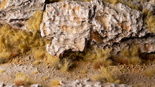 Load image into Gallery viewer, Spikey Beige - Wild

