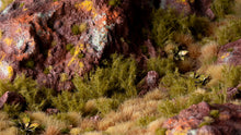 Load image into Gallery viewer, Spikey Green - Wild
