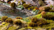 Load image into Gallery viewer, Swamp Tufts 8mm - Wild XL
