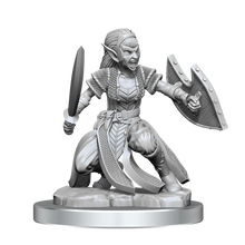 Load image into Gallery viewer, D&amp;D Nolzur's Marvelous Miniatures: Shifter Fighter
