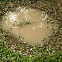 Load image into Gallery viewer, AK8028 - Puddles
