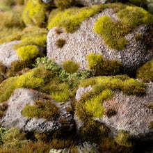 Load image into Gallery viewer, Dark Moss 2mm - Wild
