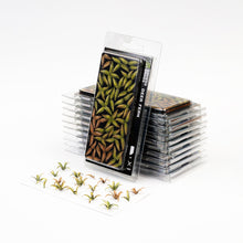 Load image into Gallery viewer, Laser Plants - Deer Fern
