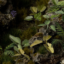 Load image into Gallery viewer, Laser Plants - Elephant Ear
