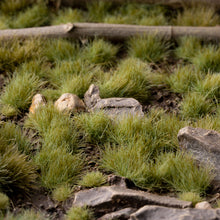 Load image into Gallery viewer, Green 4mm - Wild
