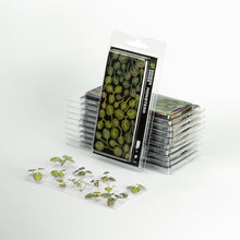Load image into Gallery viewer, Laser Plants - Monstera
