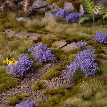 Load image into Gallery viewer, Violet Flowers - Wild
