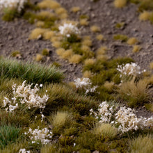 Load image into Gallery viewer, White Flowers - Wild
